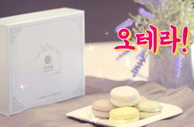 나만알고싶은꿀템_오테라 마카롱