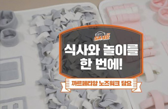 까르페티앙 노즈워크 담요